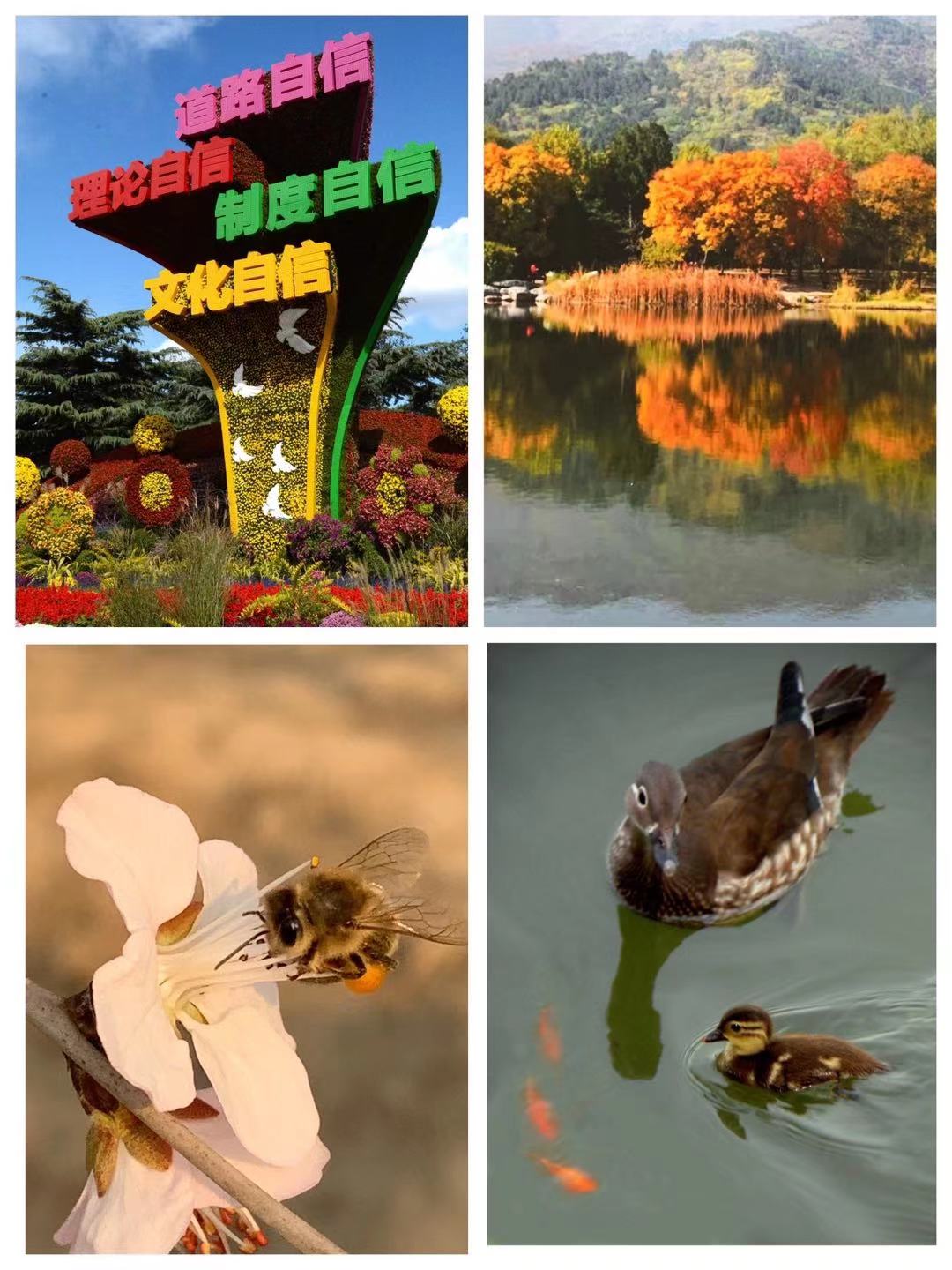 9c98baca254cfe71c95c4d2192bd75b.jpg 9c98baca254cfe71c95c4d2192bd75b.jpg